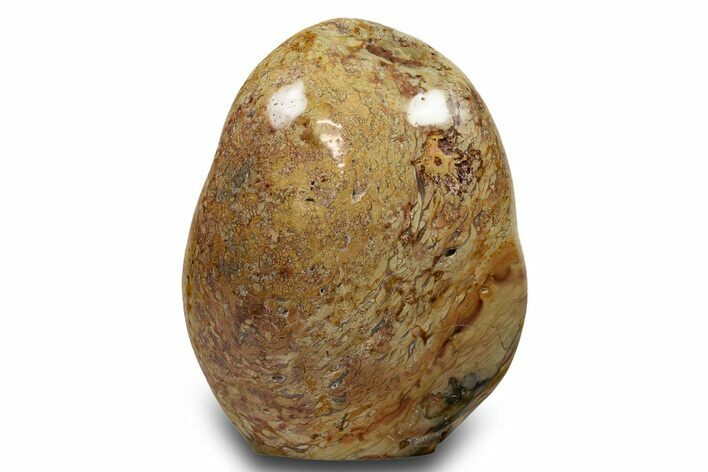 Colorful Polished Free-Standing Jasper Formation - Madagascar #319307